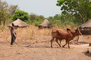 Bloodthirst; part two