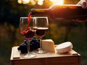 Pour Decisions: Navigating Wine Types and Tastes.