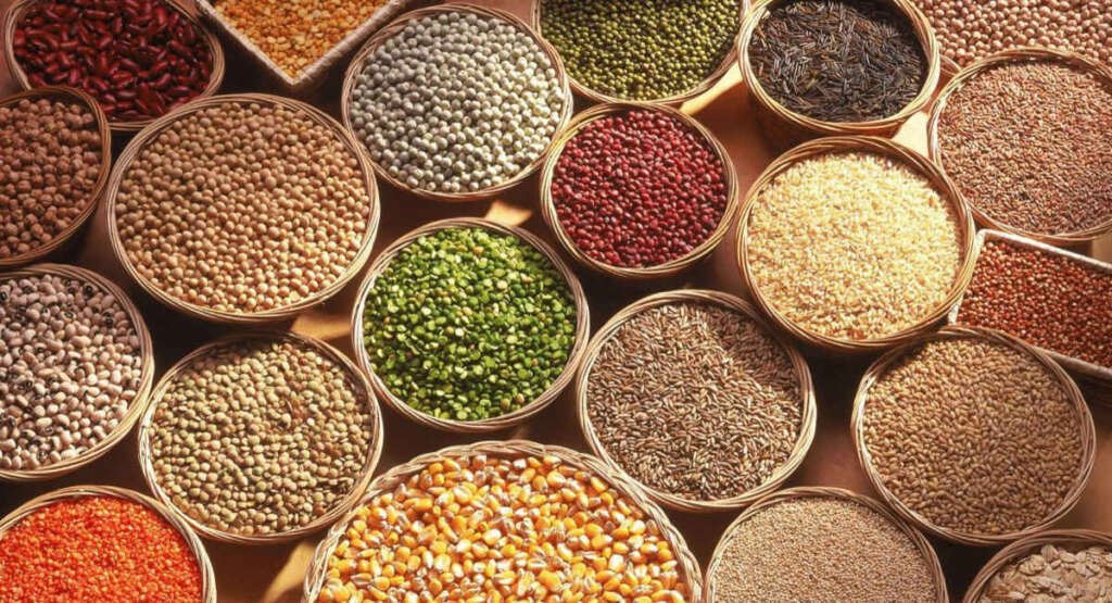 A variety of Kenyan indigenous seeds, including maize, beans, and sorghum, representing traditional farming, biodiversity, and seed sovereignty.