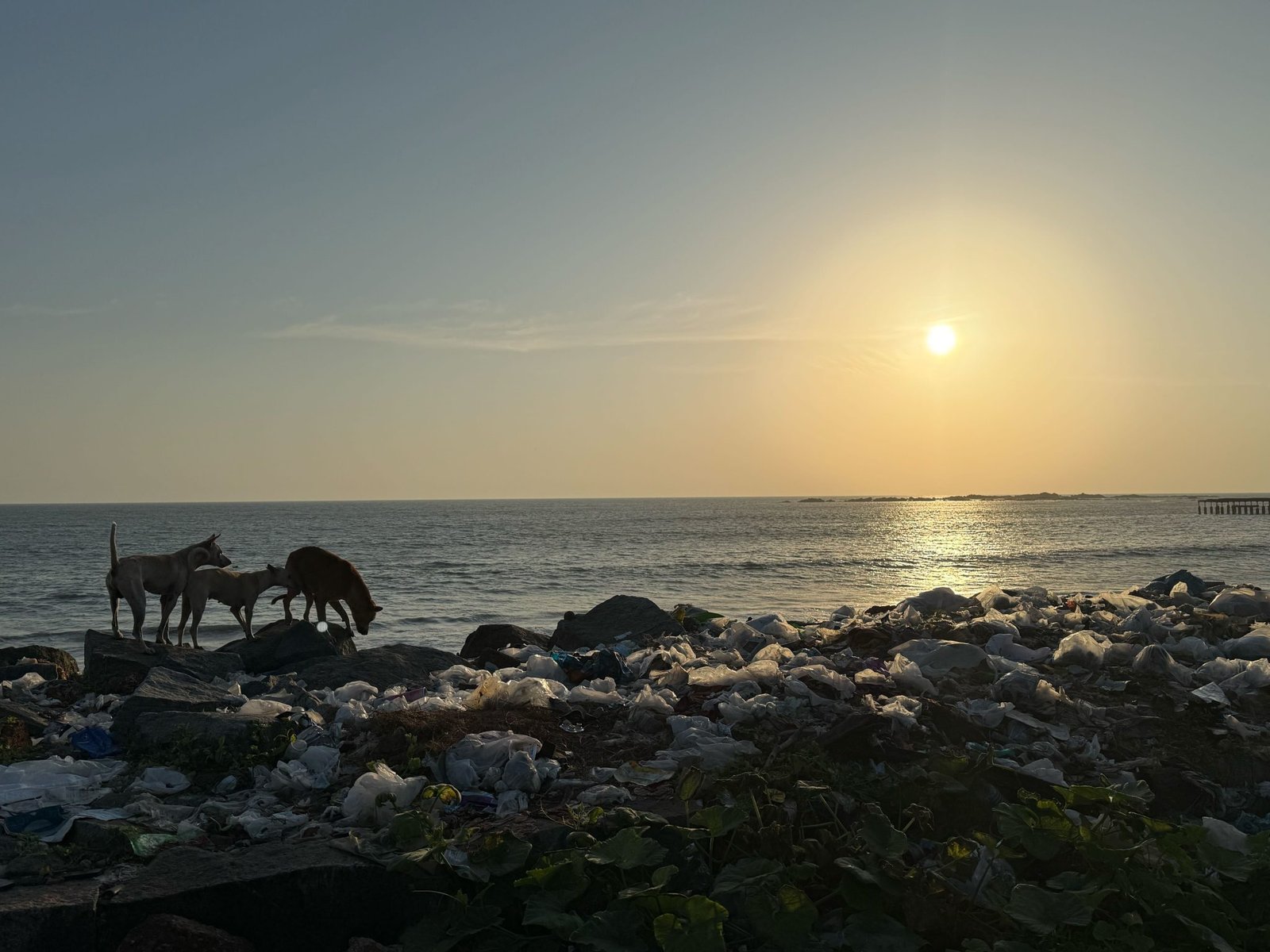 The Truth About Plastic Recycling in Africa