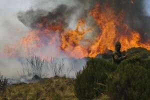 Mount Kenya burning during the September 2026 wildfire