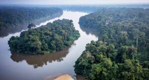 Congo River flowing through the Congo Basin rainforest